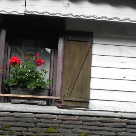 Vendégház Iedera Casa De Familii 1 Felsőpián