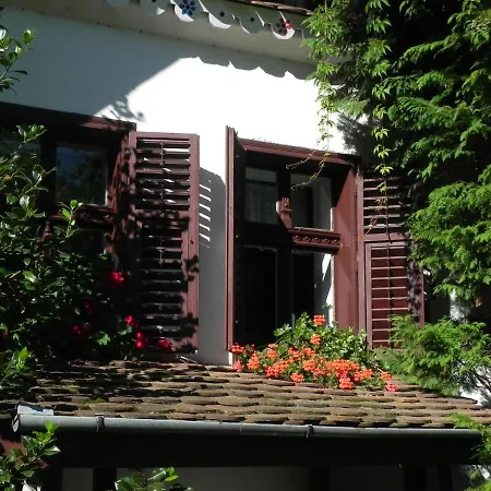 Iedera Casa De Familii 1 Vendégház 3*