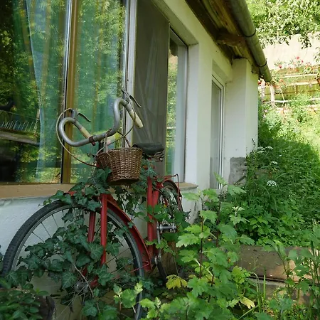 Vendégház Iedera Casa De Familii 1 Felsőpián